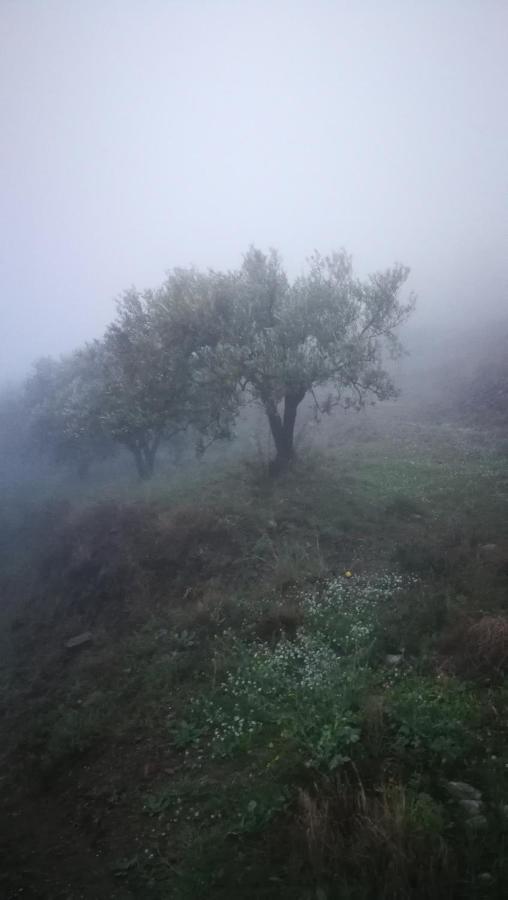شقة Casa Del Cielo فريجيليانا المظهر الخارجي الصورة